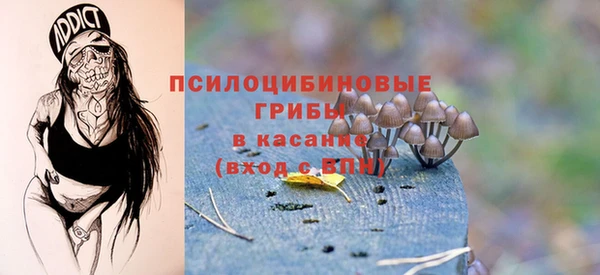 mdpv Алексин